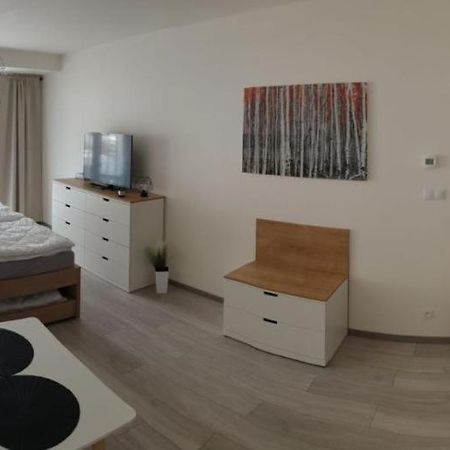 Apartment Korzo 318/3 Lipno nad Vltavou Exteriér fotografie